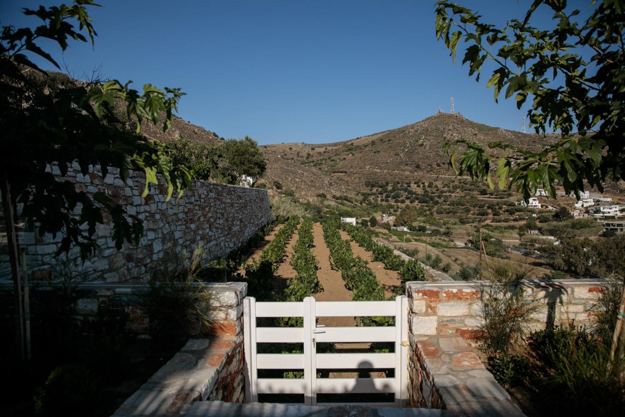 Wow Panoramic View Deluxe Villas Agkidia Eksteriør bilde